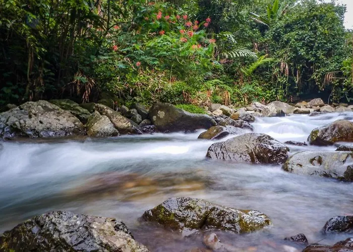 Oyo 93146 Lamin Indah Hotel Puncak